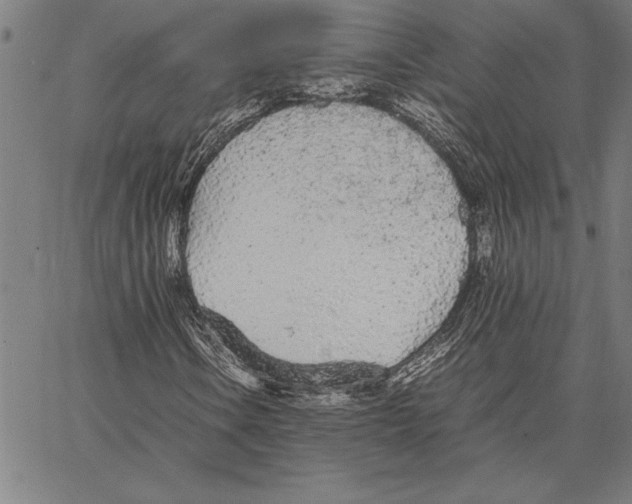 X0000066941106200604211743