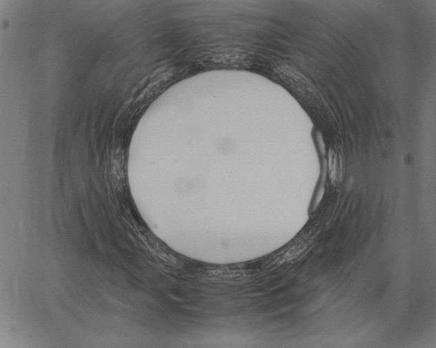 X0000066941107200604211743