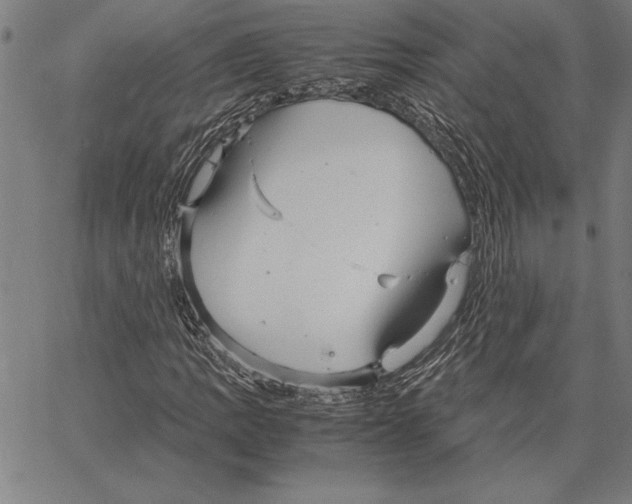 X0000066941109200604211743