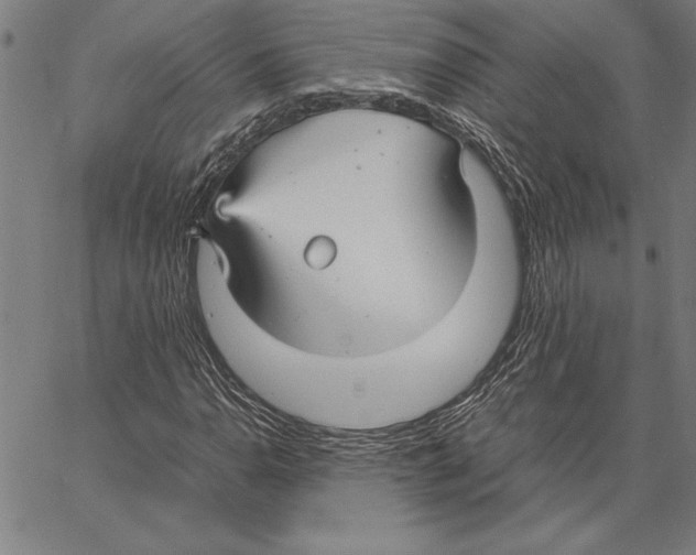 X0000066941110200604211743