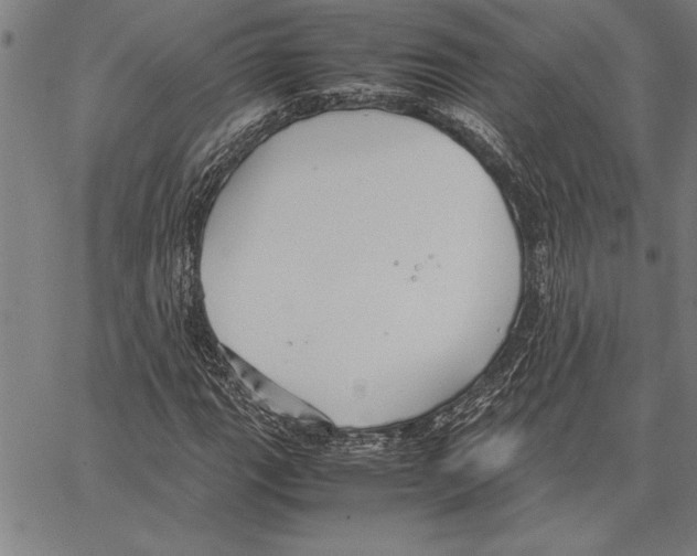 X0000066941111200604211743