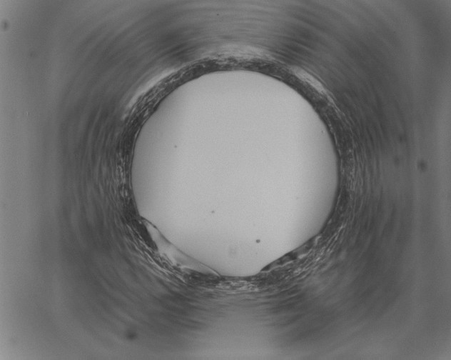 X0000066941112200604211743