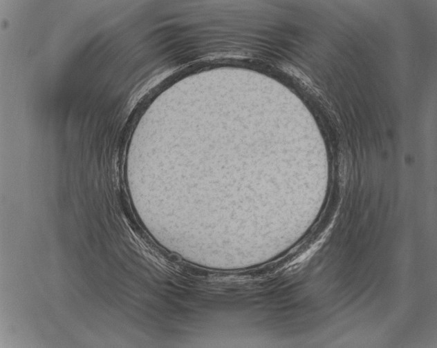 X0000066941113200604211743