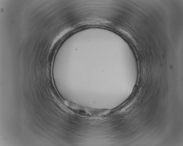 X0000066941114200604211743