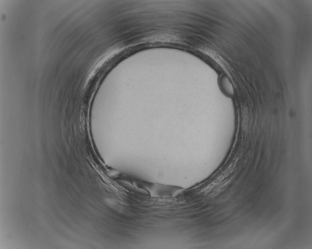 X0000066941115200604211743