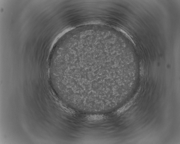 X0000066941117200604211743