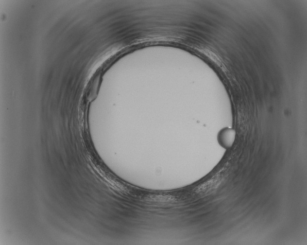 X0000066941119200604211743