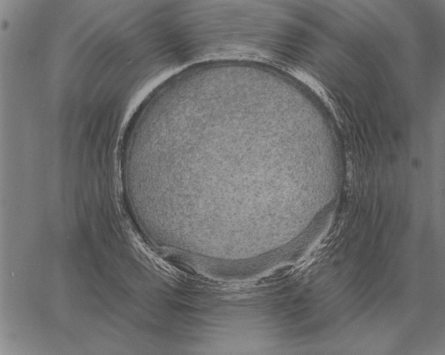 X0000066941120200604211743