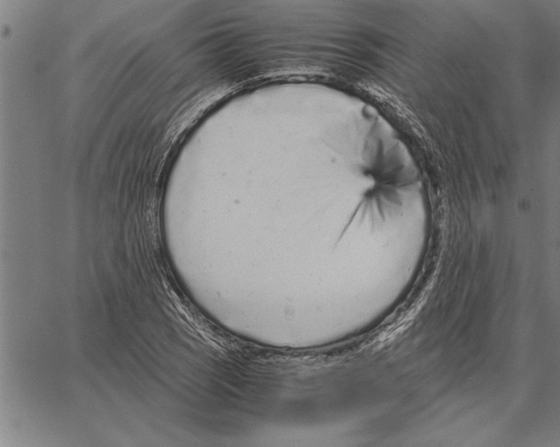 X0000066941121200604211743