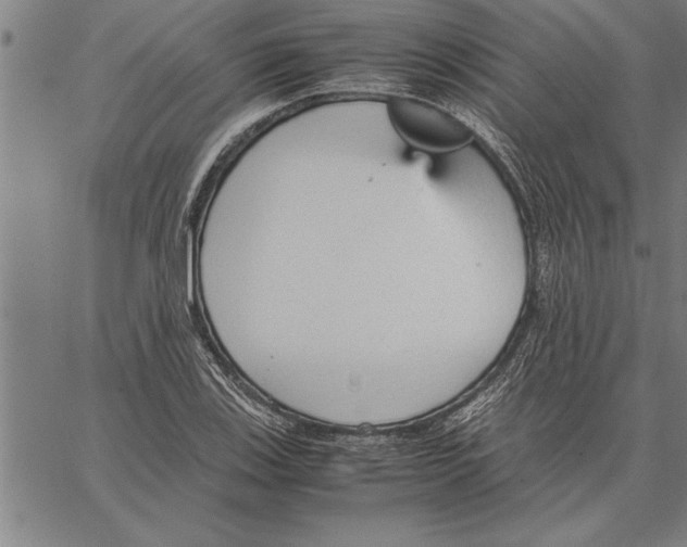 X0000066941123200604211743