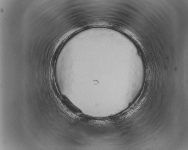 X0000066941125200604211743