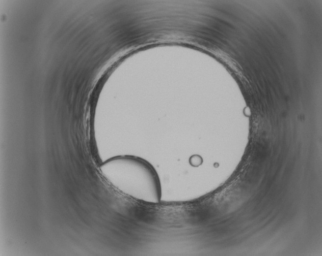 X0000066941126200604211743