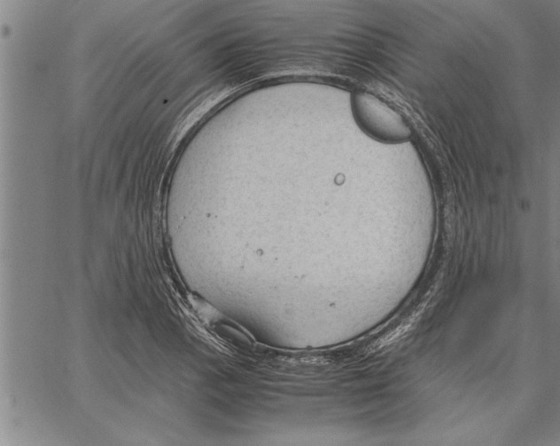 X0000066941129200604211743