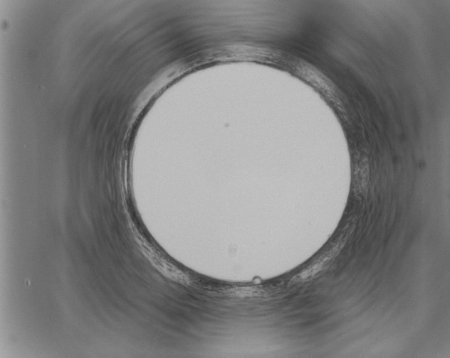 X0000066941130200604211743