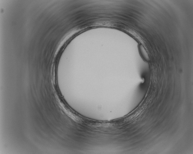 X0000066941131200604211743