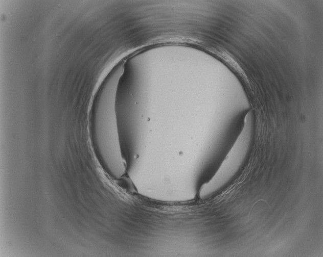 X0000066941132200604211743