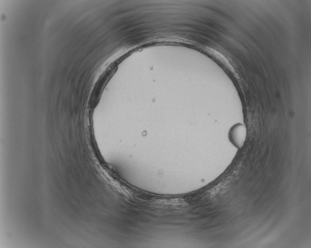 X0000066941133200604211743