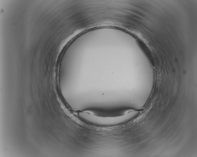 X0000066941134200604211743