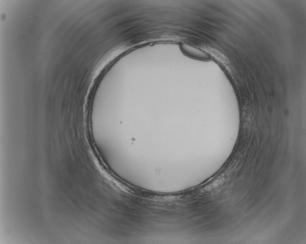 X0000066941135200604211743