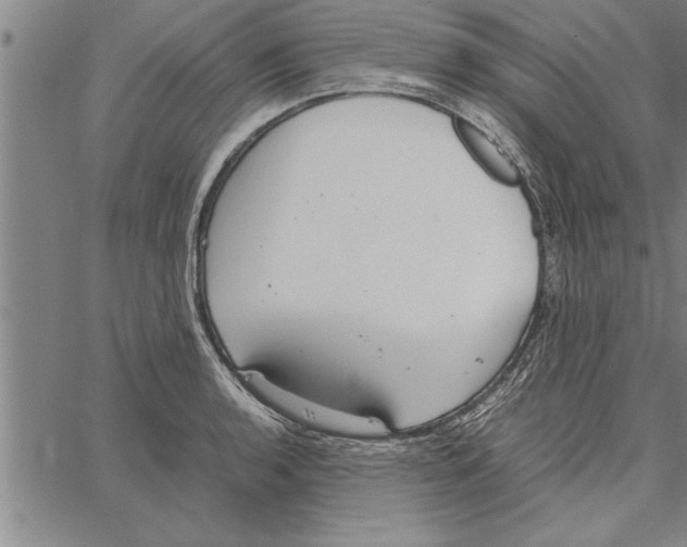 X0000066941136200604211743