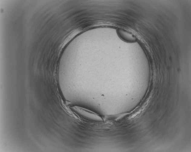 X0000066941137200604211743