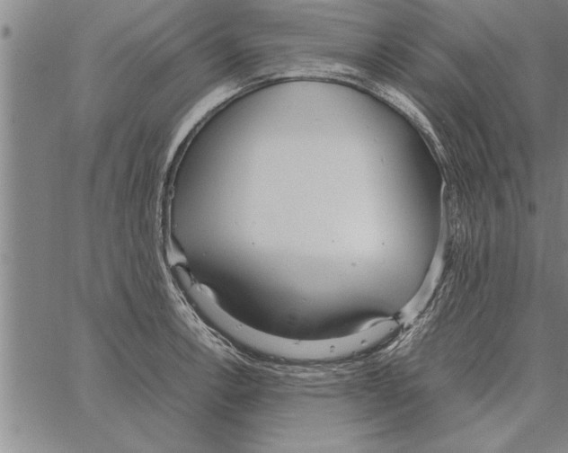 X0000066941138200604211743