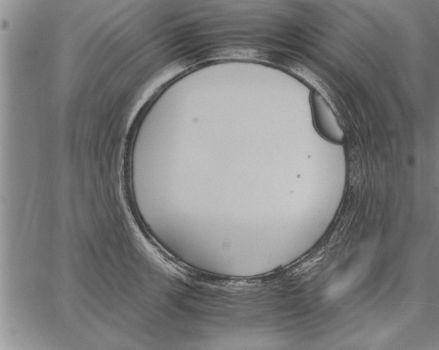 X0000066941139200604211743