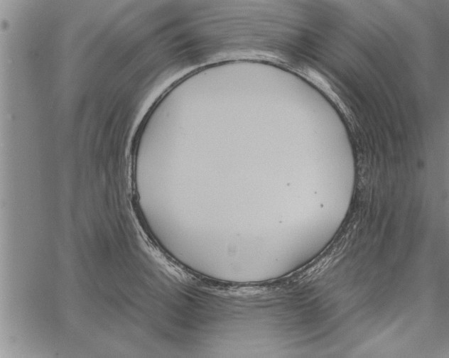 X0000066941140200604211743