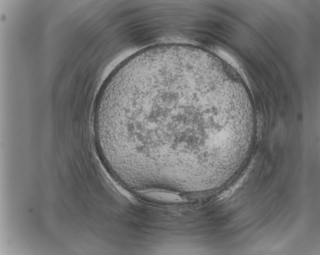 X0000066941141200604211743