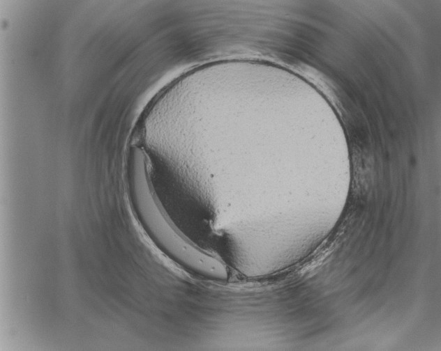 X0000066941142200604211743