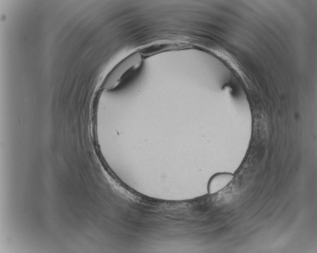 X0000066941143200604211743