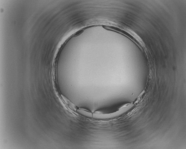 X0000066941144200604211743