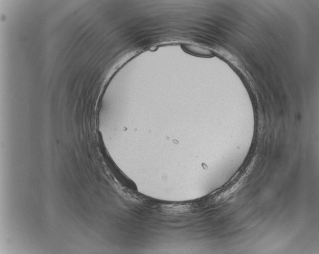 X0000066941145200604211743