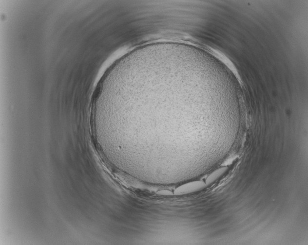 X0000066941146200604211743