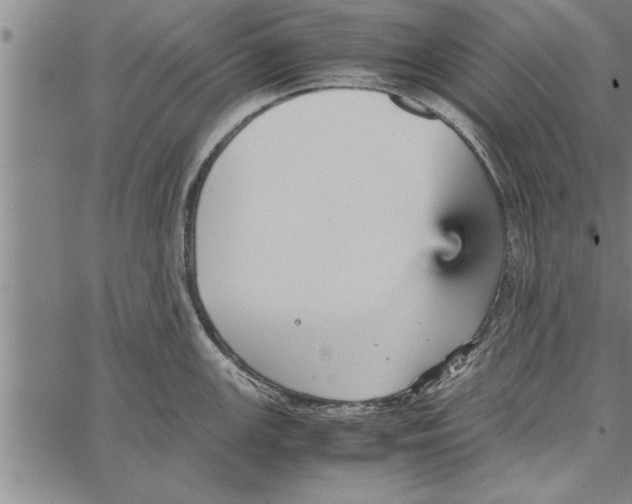 X0000066941147200604211743