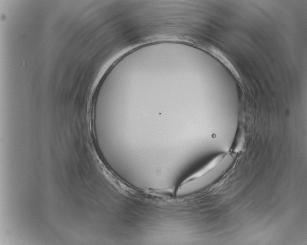 X0000066941148200604211743