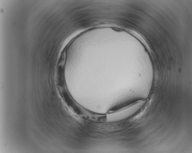 X0000066941149200604211743