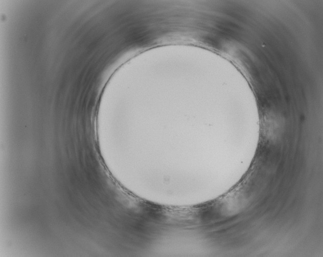 X0000066941150200604211743