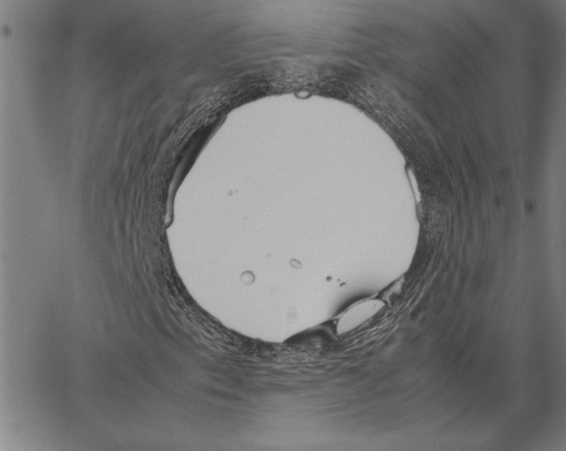 X0000066941153200604211743