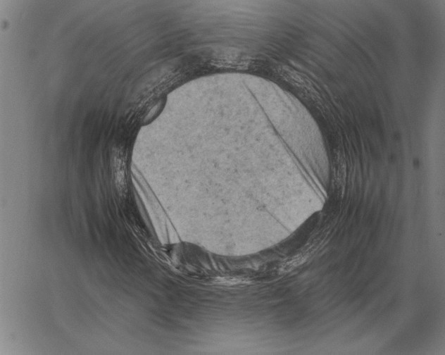 X0000066941154200604211743