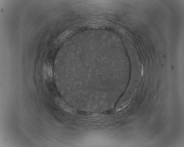 X0000066941155200604211743