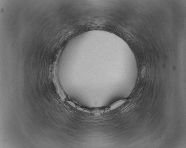 X0000066941156200604211743