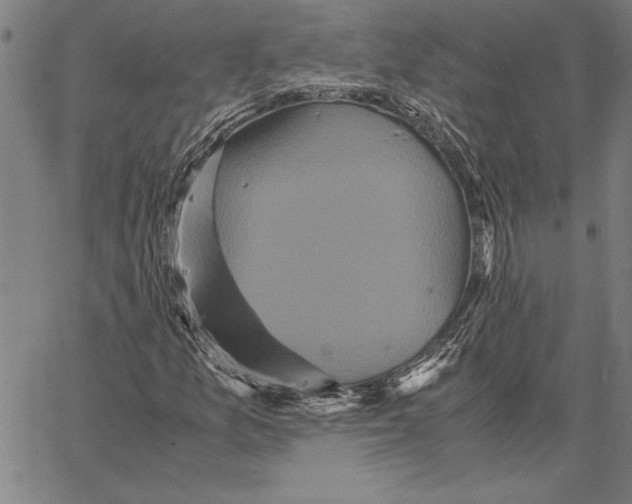 X0000066941157200604211742