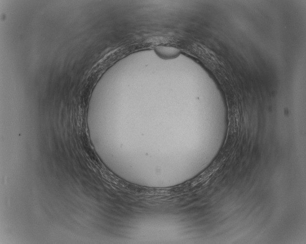 X0000066941158200604211742