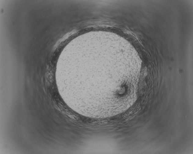 X0000066941159200604211742