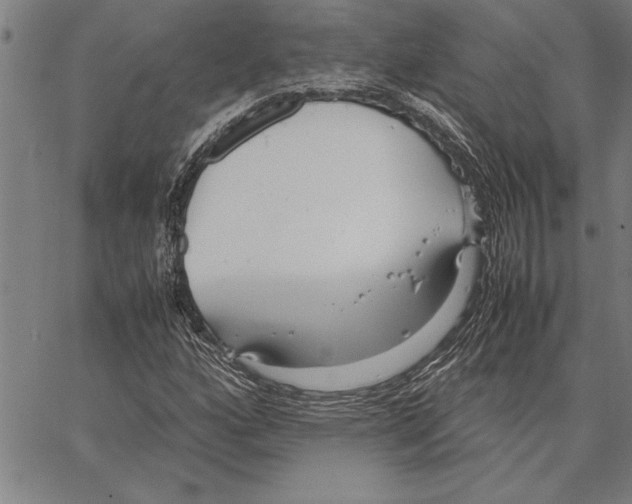 X0000066941160200604211742