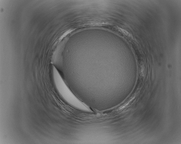 X0000066941161200604211742