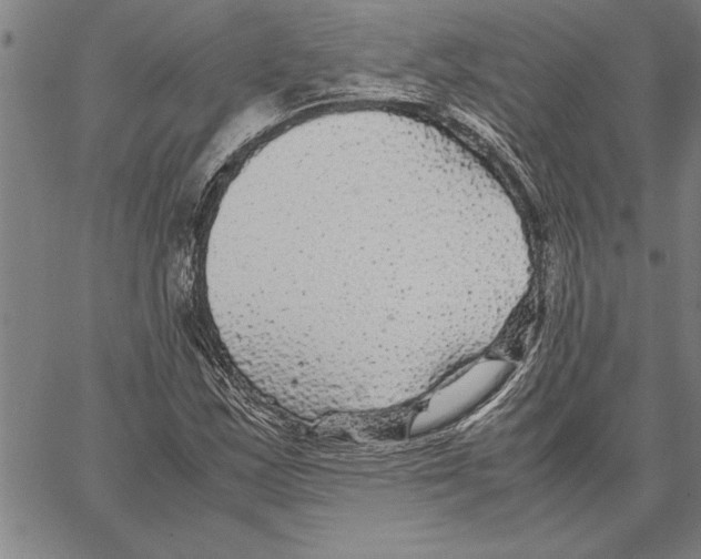 X0000066941163200604211742