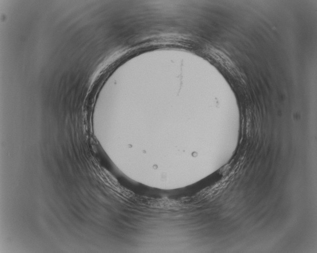 X0000066941164200604211742