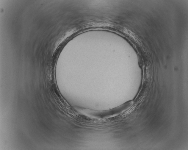 X0000066941165200604211742